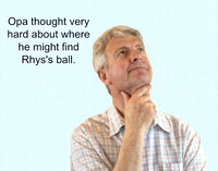 Rhys and His Missing Ball Page 14