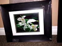 Dimensions 19.5x16.5 holds 11x14 no matte or as seen 8x10 matted