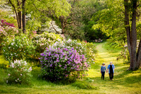 Royal Botanical Gardens Lilac Dell